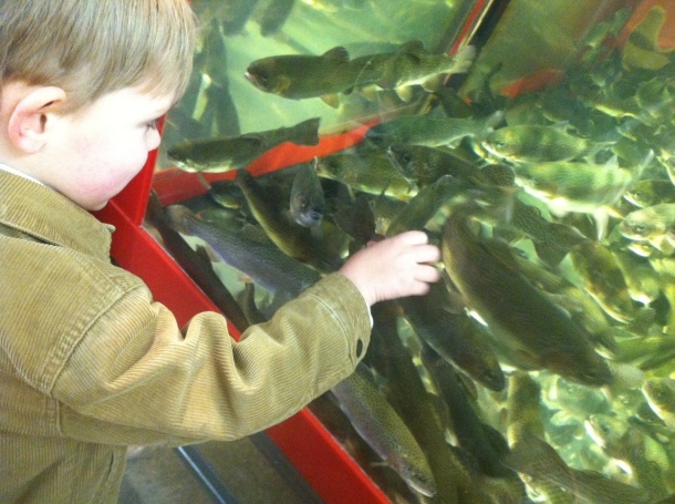 Levi and Fish